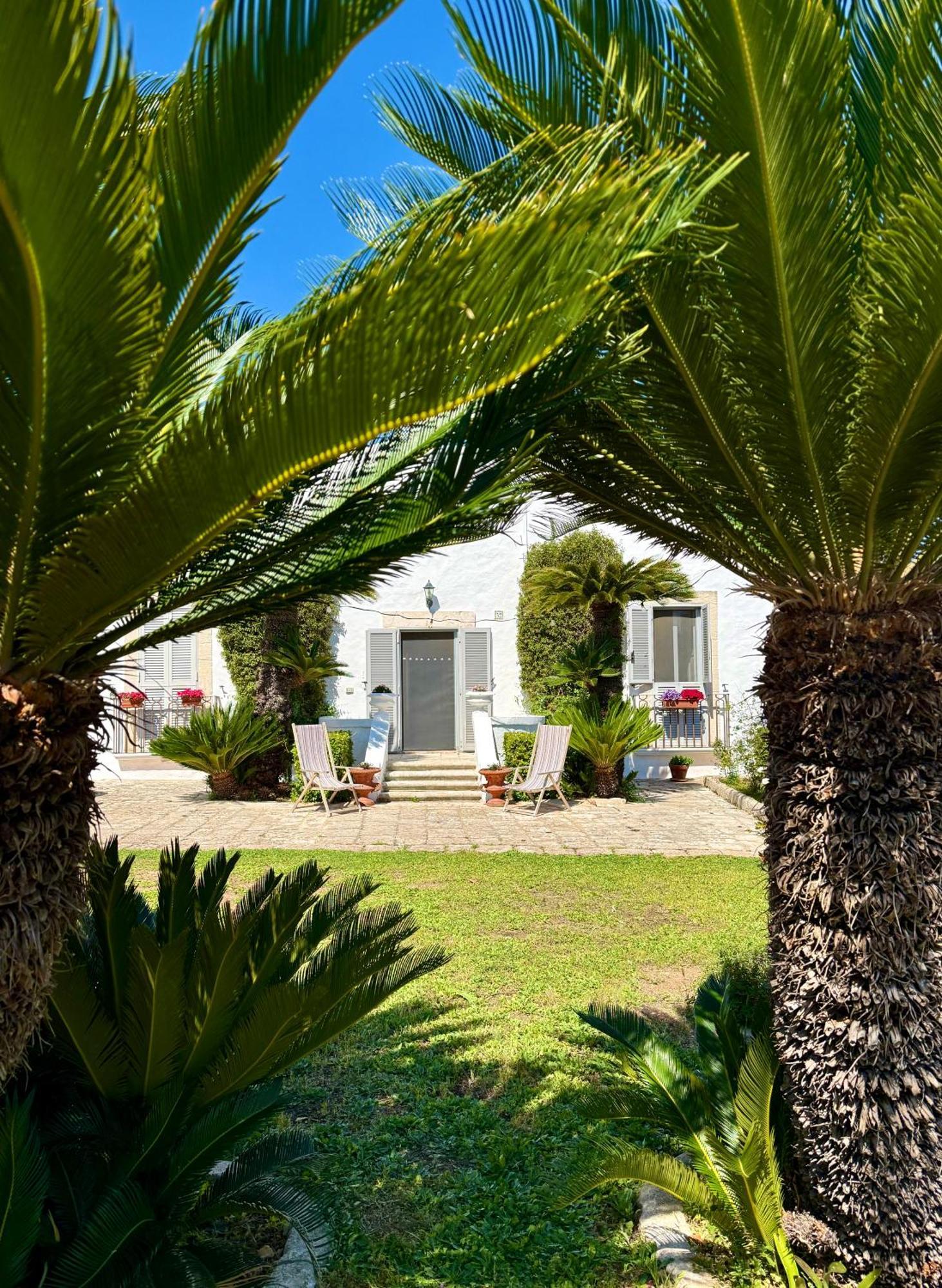 B&B Nonno Ciccio Monopoli Exteriör bild